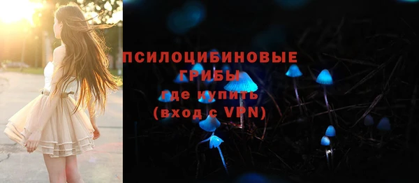 ПСИЛОЦИБИНОВЫЕ ГРИБЫ Тайга