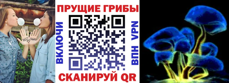 ссылка на мегу онион Сафоново Галлюциногенные грибы Psilocybe